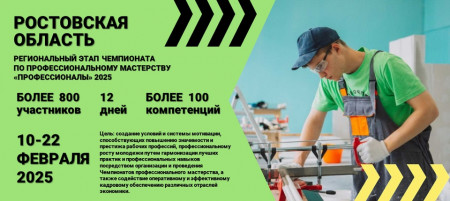 "Профессионалы" Ростовской области 2025