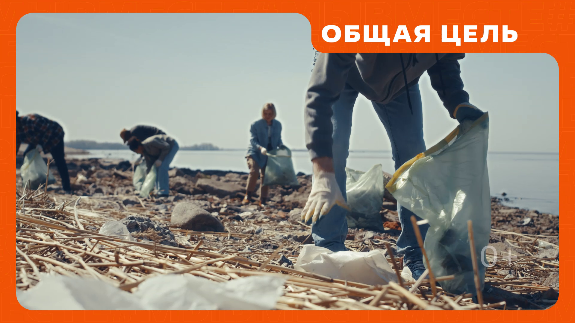 Общая цель